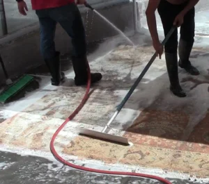 Professional Rug Cleaning in San Diego - RugExpo Cleaning