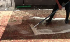 RugExpo Cleaning - Professional Rug Cleaning in San Diego