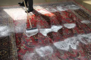 RugExpo Cleaning - Professional Rug Cleaning in San Diego